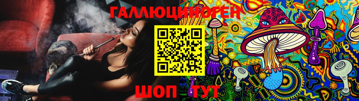 Псилоцибиновые грибы Psilocybine cubensis Ростов Великий