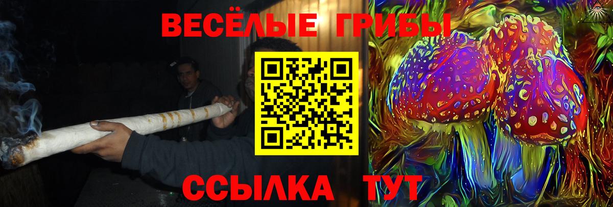 Галлюциногенные грибы Magic Shrooms  Вход с VPN  Ростов Великий  закладка  Псилоцибиновые грибы GOLDEN TEACHER 